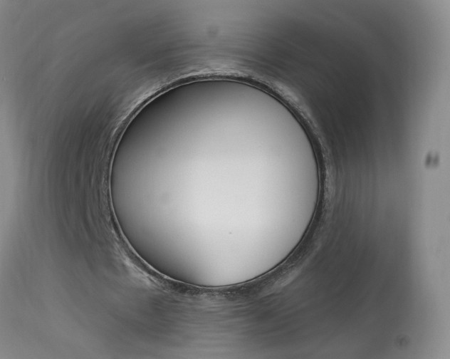 X0000113940481200909250943