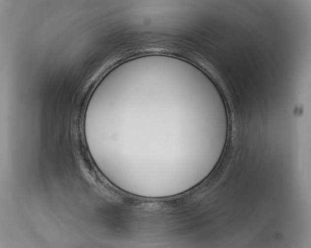 X0000113940482200909250943