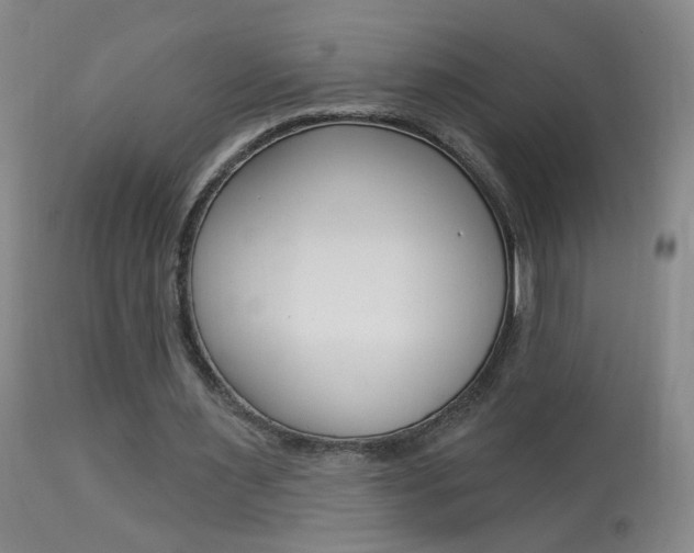 X0000113940483200909250943