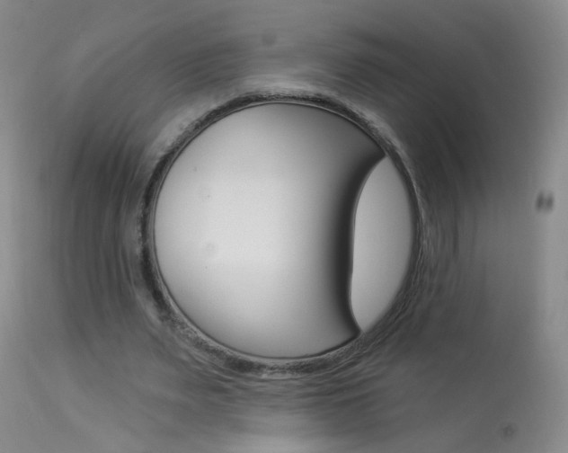 X0000113940487200909250943