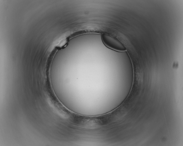 X0000113940488200909250943