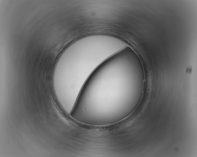 X0000113940489200909250943