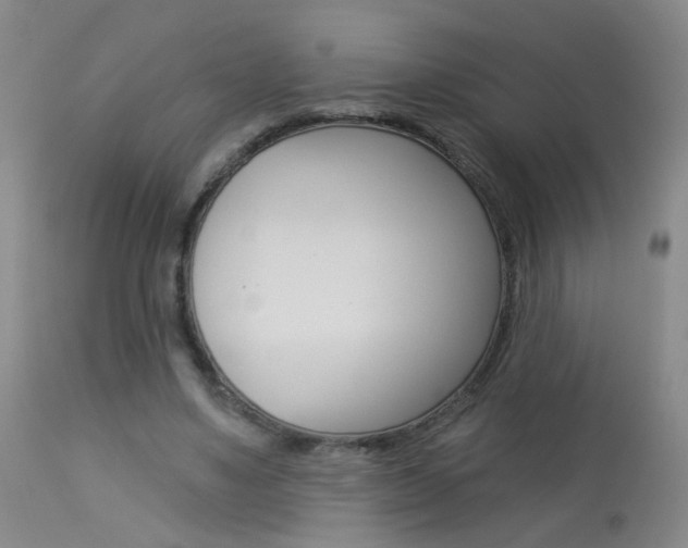 X0000113940491200909250943