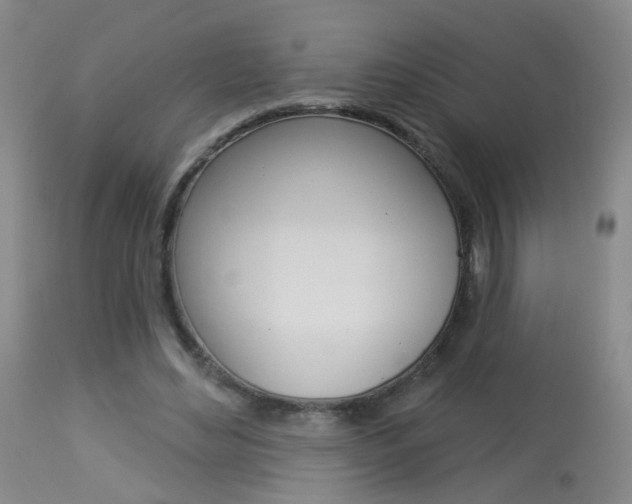X0000113940492200909250943