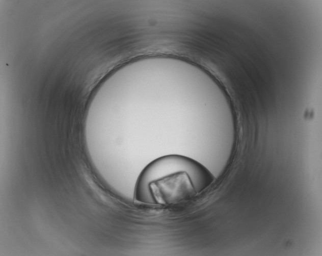 X0000113940493200909250943