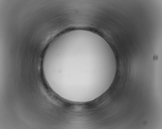X0000113940495200909250943