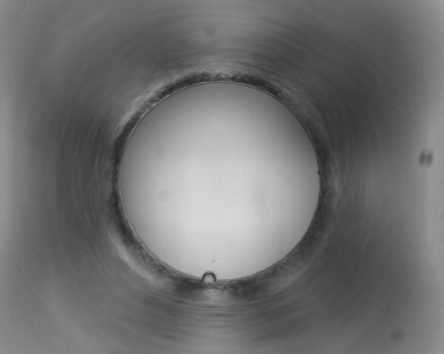 X0000113940496200909250943