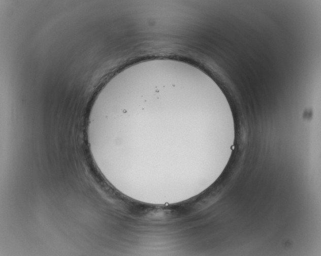 X0000113940497200909250943