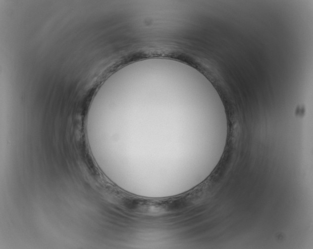 X0000113940498200909250943