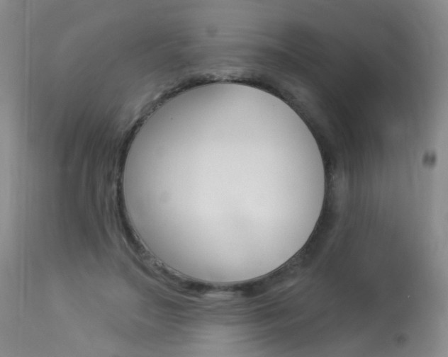X0000113940499200909250943