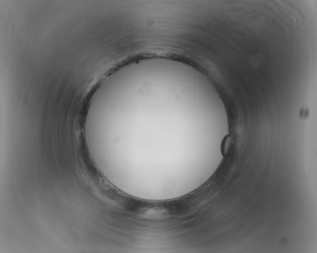 X0000113940500200909250943