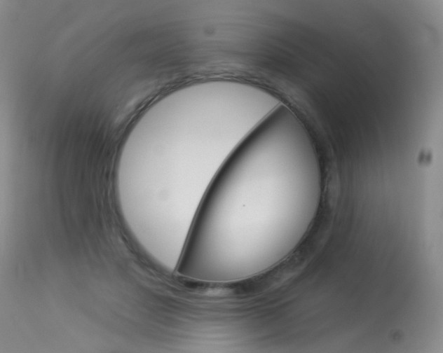 X0000113940501200909250943