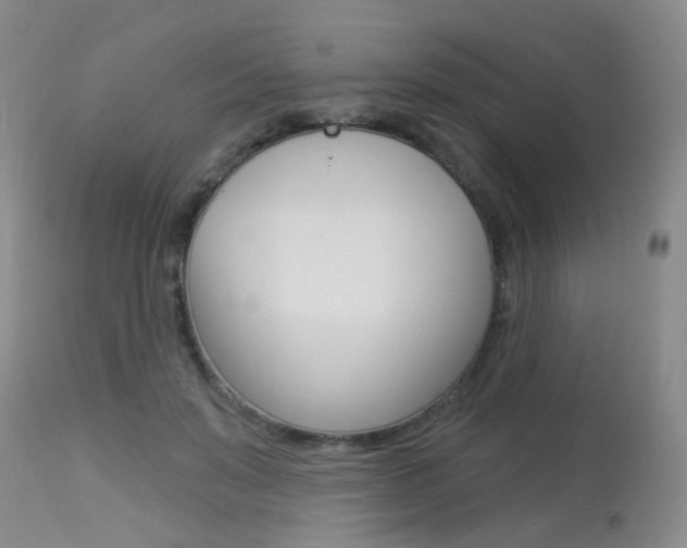 X0000113940503200909250943