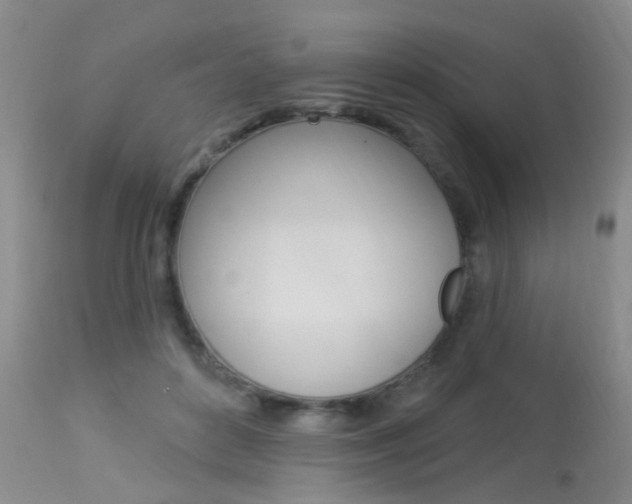 X0000113940504200909250943