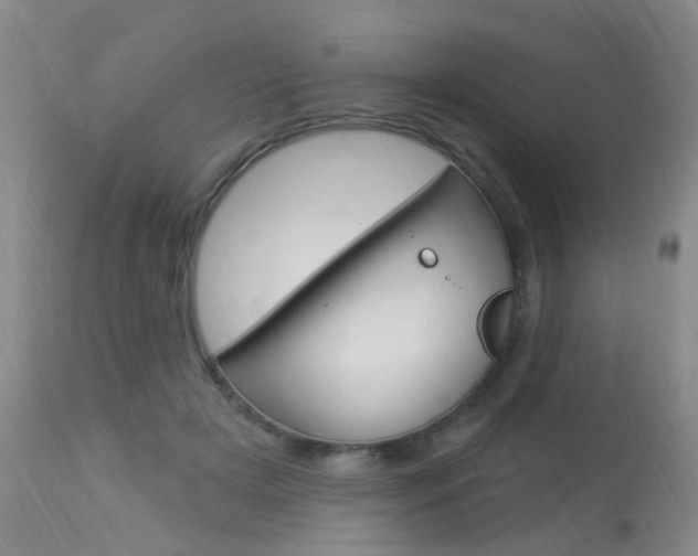 X0000113940505200909250943