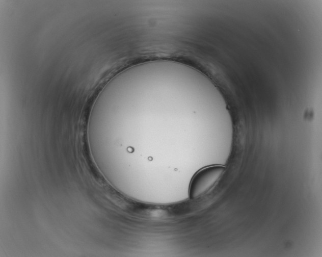 X0000113940509200909250943