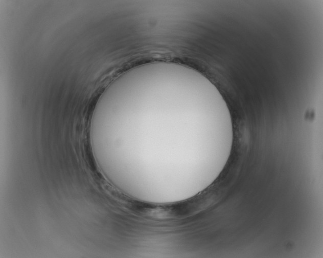 X0000113940511200909250943