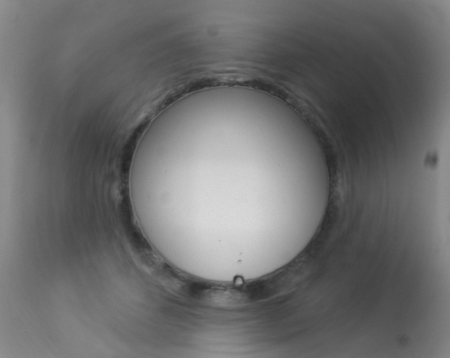 X0000113940512200909250942
