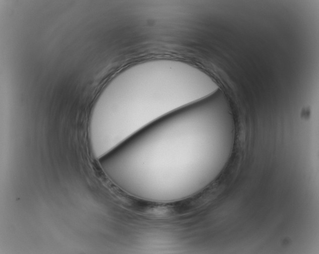 X0000113940513200909250942