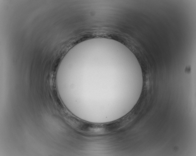 X0000113940514200909250942