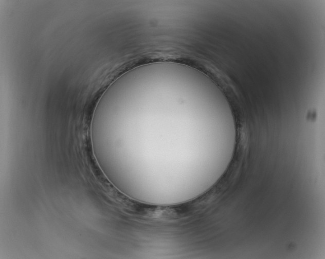X0000113940517200909250942