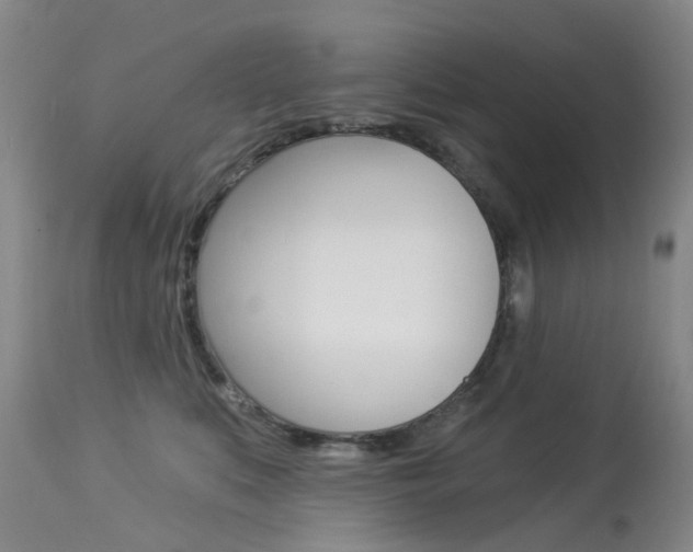 X0000113940519200909250942