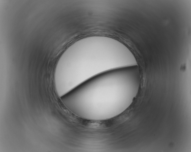 X0000113940521200909250942