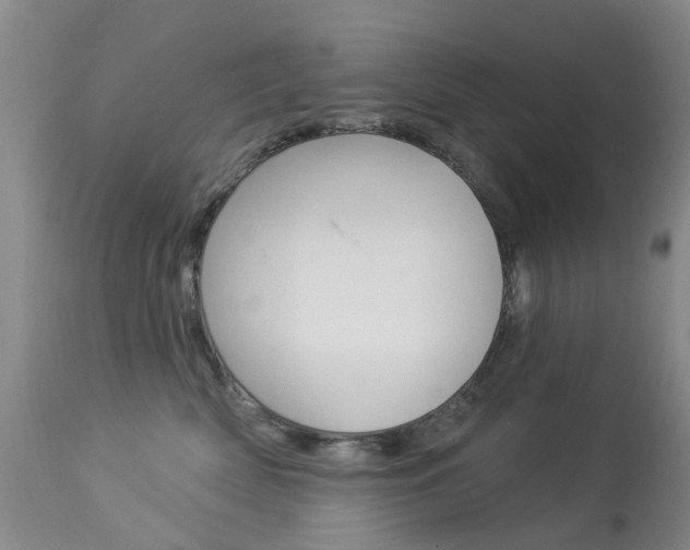 X0000113940522200909250942
