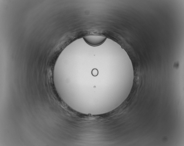 X0000113940523200909250942
