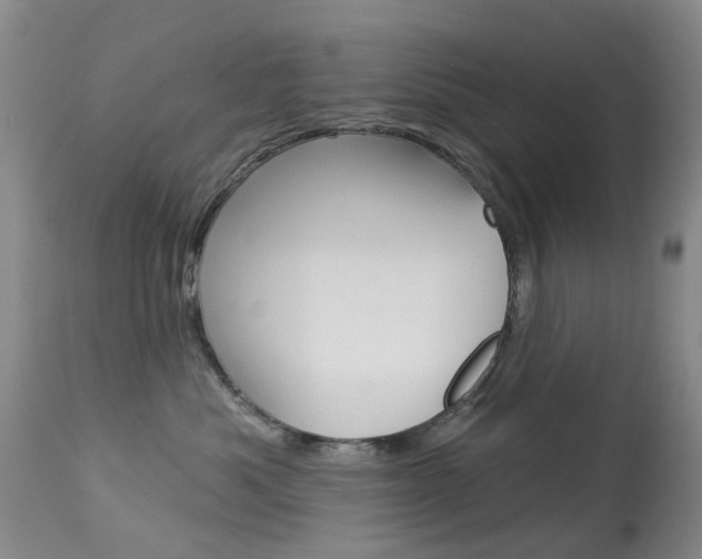 X0000113940525200909250942