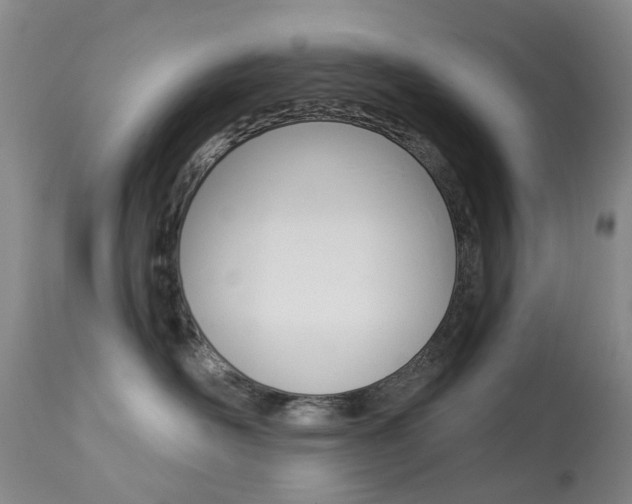 X0000113940526200909250942