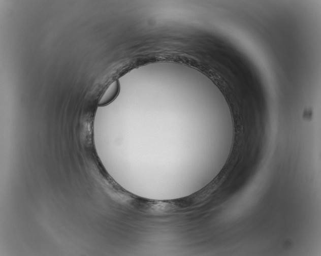 X0000113940527200909250942