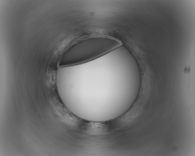 X0000113940528200909250942