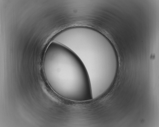 X0000113940530200909250941