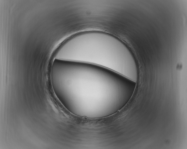 X0000113940532200909250941