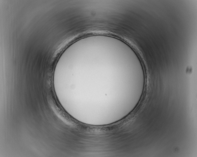 X0000113940533200909250941