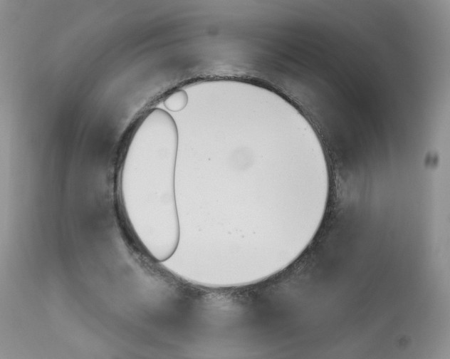 X0000113940534200909250941