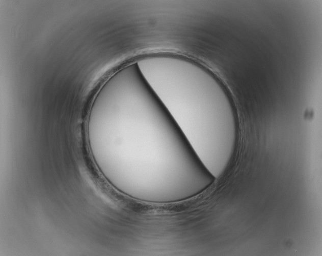 X0000113940535200909250941