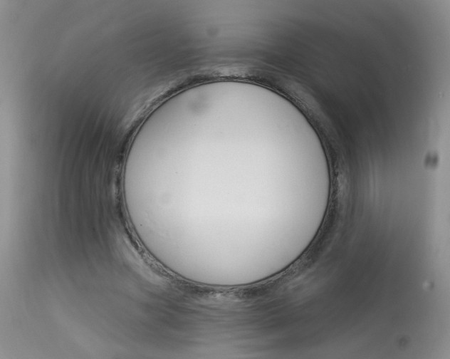 X0000113940537200909250941
