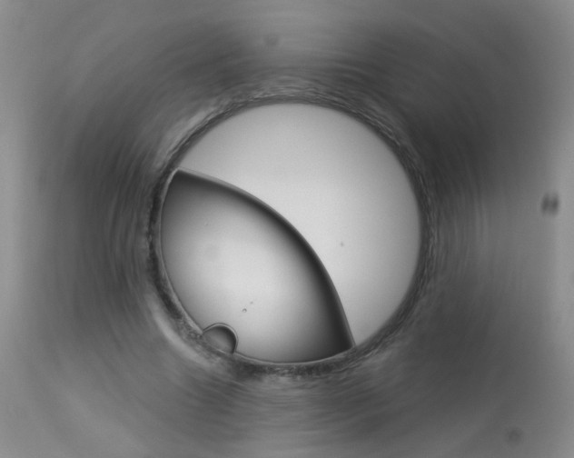 X0000113940538200909250941