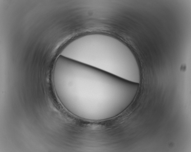 X0000113940539200909250942
