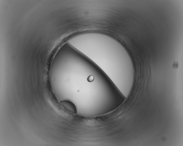 X0000113940540200909250942