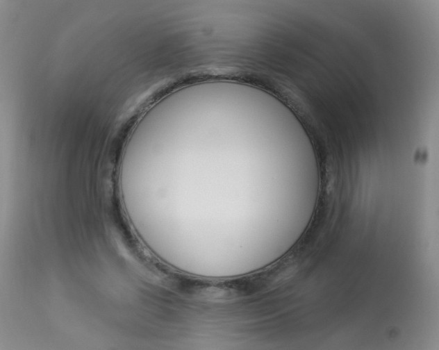 X0000113940542200909250942