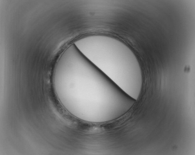 X0000113940543200909250942