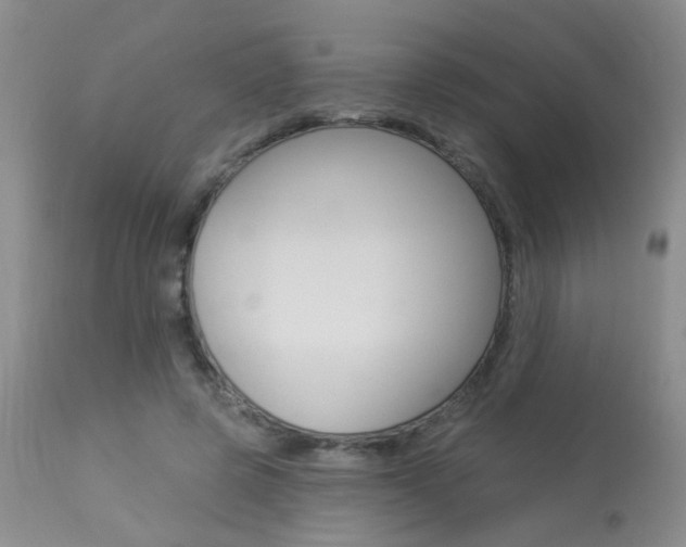 X0000113940545200909250942