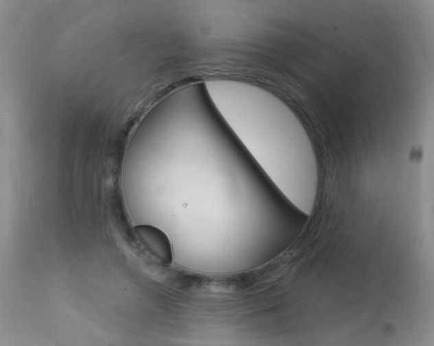 X0000113940546200909250942