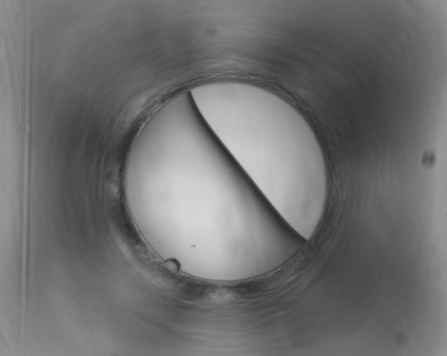 X0000113940547200909250942
