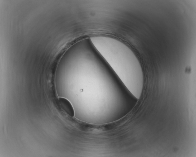 X0000113940548200909250942