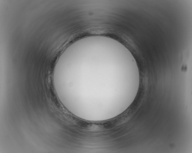 X0000113940549200909250942