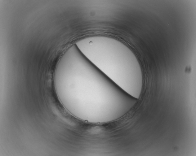 X0000113940551200909250942